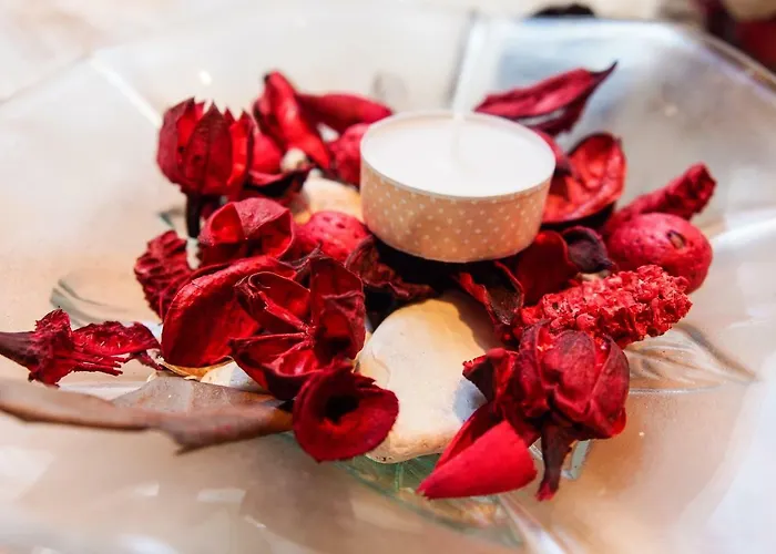 The Perfect Apartament Hvar Town